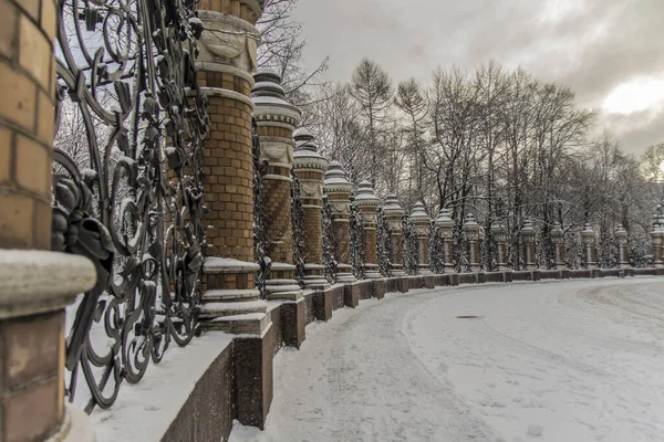 Mikhailovsky Garden Fence Petersburg Winter — Stock Photo, Image