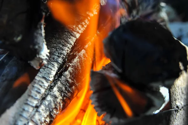 Une Pile Grumes Brûle Dans Gril Extérieur — Photo