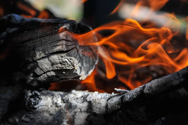 Une Pile Grumes Brûle Dans Gril Extérieur — Photo