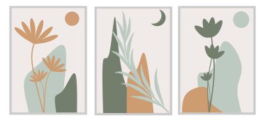 Bontanik çiçek duvar sanatının üç parçasını yerleştirin. Doğa duvarı dekoru. Asgari Duvar dekorasyonu. Tarafsız renk ev dekorasyonlu ay ve güneş elementleri.