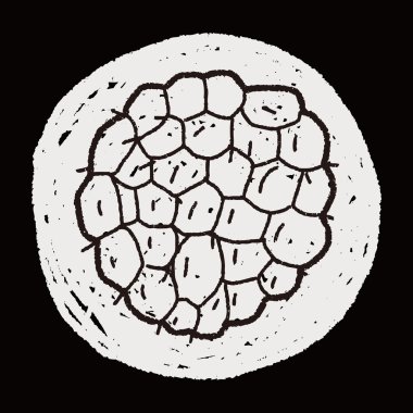 muhallebi apple doodle