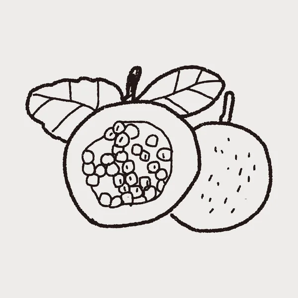 Garabato de la fruta de la pasión — Vector de stock