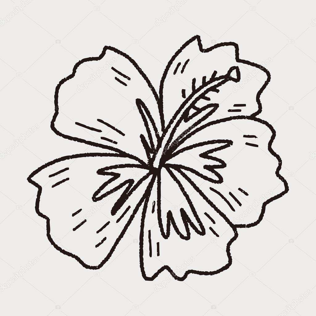 Chinese hibiscus doodle