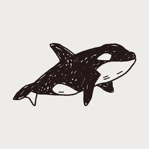 Killer Whale doodle — Stock Vector