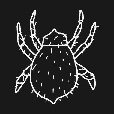 mite doodle