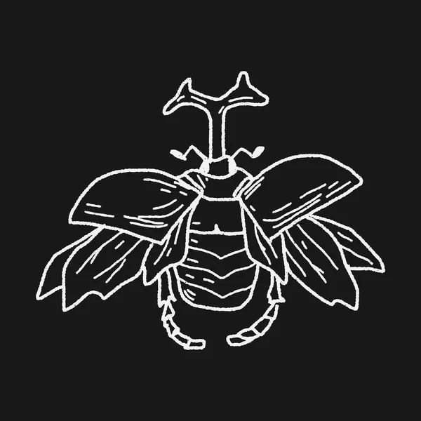 Böceği doodle — Stok Vektör