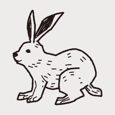 tavşan doodle
