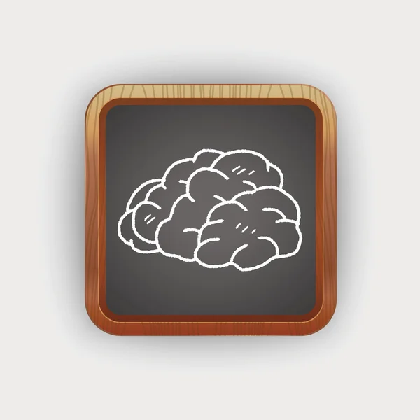 Brain doodle — Stock Vector