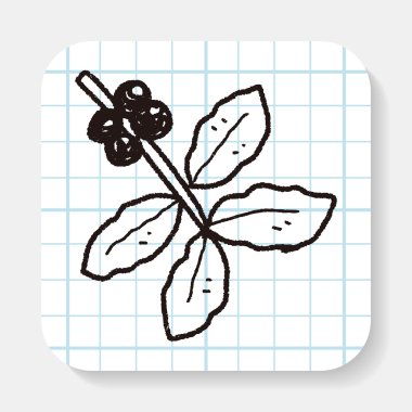 kahve çekirdeği meyve doodle