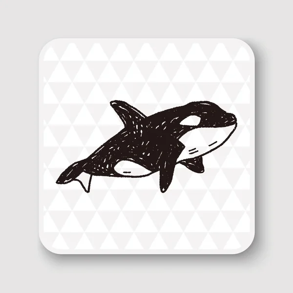 Killer Whale doodle vector illustration — Stock Vector