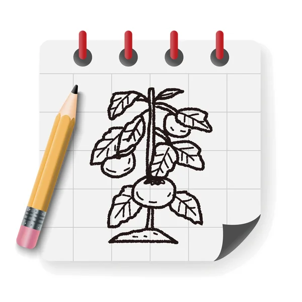 Planta doodle vetor ilustração vetor ilustração — Vetor de Stock