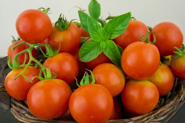 Foto mycket färska tomater presenteras på vit bakgrund — Stockfoto