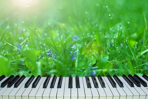 Die Musik der Natur. Klaviertasten vor dem Hintergrund der Natur — Stockfoto