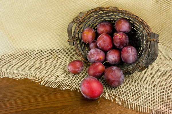 Blå plommon spillt från en wicker basket på ett gammalt träbord — Stockfoto