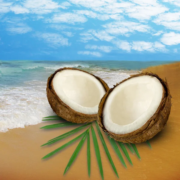 Playa de verano y cocos con hoja — Foto de Stock