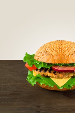 Sulu ve kokulu hamburger ev yapımı patates kızartması ile
