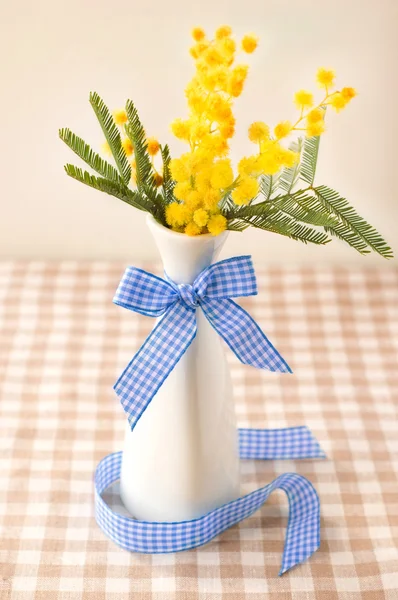 Mimosa flower in a vase with blue ribbon — Stock Photo, Image