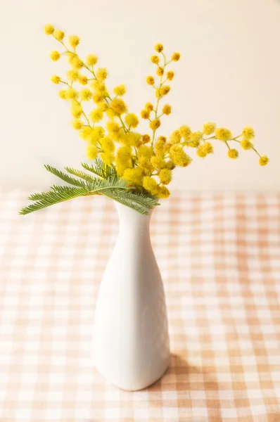 Mimosa flower in a vase — Stock Photo, Image