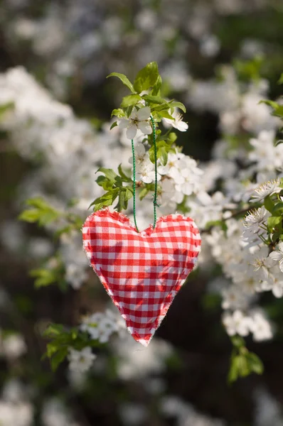 Cuore di San Valentino appeso a un ramo d'albero — Foto Stock