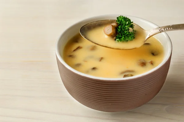 Cream of cep soup — Stock Photo, Image