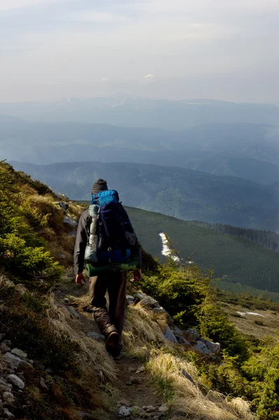 Man med vandringsutrustning promenader i mouton skog — Stockfoto