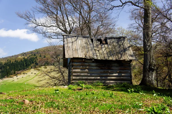 Gammal timmerstuga i fjällalperna vid lantligt falllandskap — Stockfoto