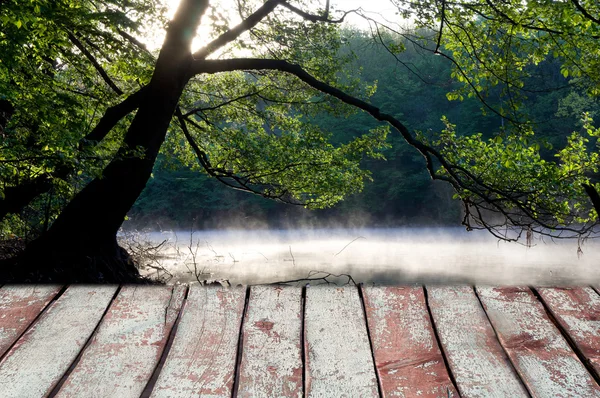 Летнее утро на лесной реке. утренний туман — стоковое фото