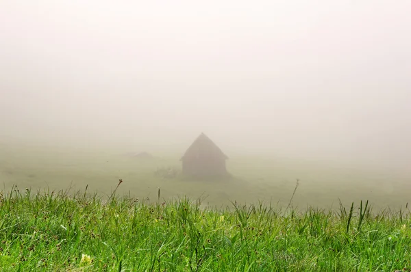 Casa con árboles en el fondo — Foto de Stock