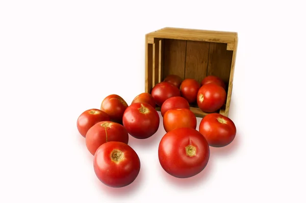 Färska tomater på rankan och en skär man i en trälåda på en — Stockfoto