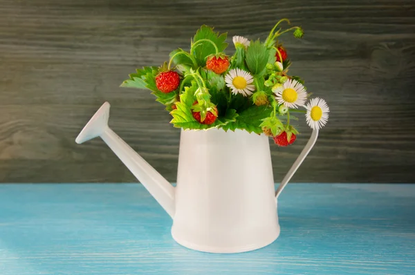 Strawberries in a watering can on the table. spring theme — Stock Photo, Image