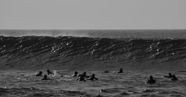 Gente Agua Surfeando Esperando Mejor Ola Imagen de archivo