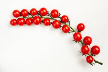 Beyaz arka planda izole edilmiş bir dalda kırmızı kiraz domatesleri.