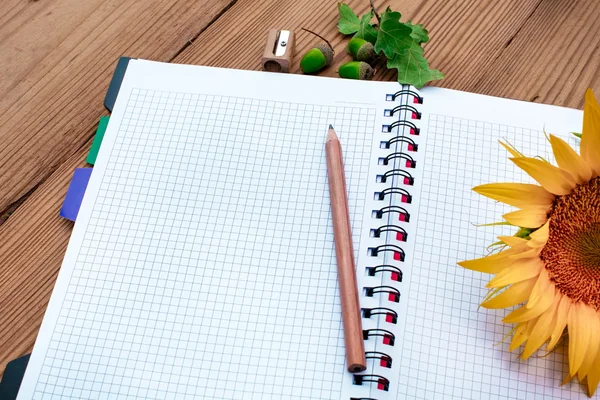 Opened spiral notebook with pencil and sunflower, acorns — Stock Photo, Image