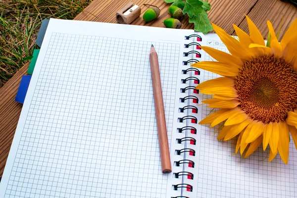 Opened spiral notebook with pencil and sunflower — Stock Photo, Image