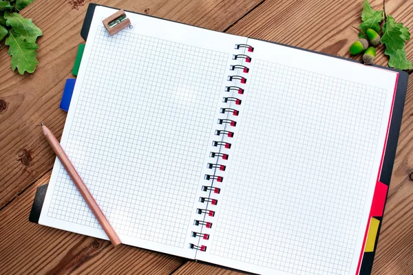 Spiraal notebook geopend met potlood slijper en eikels — Stockfoto