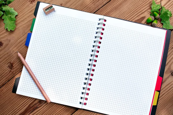 Opened spiral notebook with pencil and sharpener, acorns — Stock Photo, Image