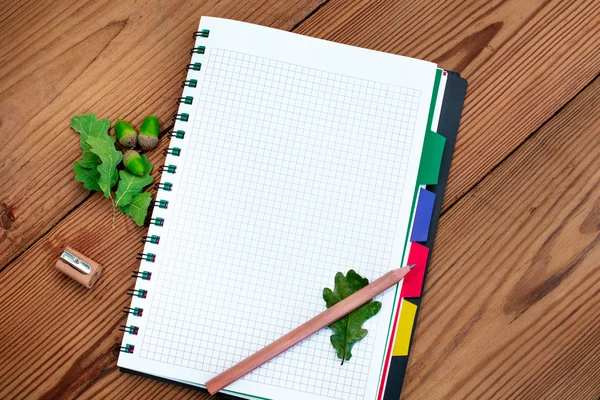 Cuaderno espiral de papel con lápiz, sacapuntas y bellotas — Foto de Stock