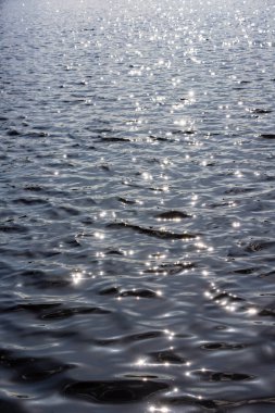 Güneş ışığında sakin suyun dikey fotoğrafı. Karanlık su güneşi yansıtıyor. Dalgalar halinde güneşin yansıması. Sudaki dalgaların dokusu. Güneşli bir günde sessiz su. Sakin rüzgar suyu hareket ettiriyor. 