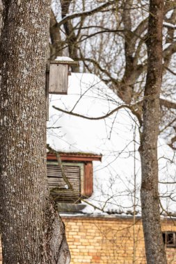 Ağaçta kare el yapımı kuş evi. Çatı katındaki büyük ağaç gövdesi karlı ev ve yapraksız ağaçların arka planına sahip ev yapımı sığırcıkların dikey fotoğrafı. Kışın en iyi kutu..