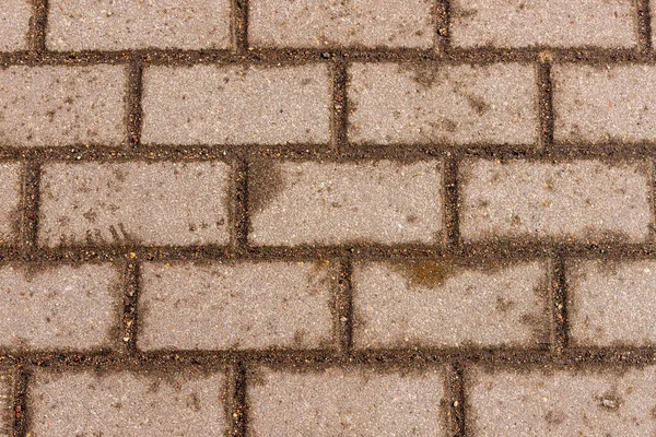 Wet Brick Wall Damp Concrete Square Block Walkway Orange Brown — Stock Photo, Image