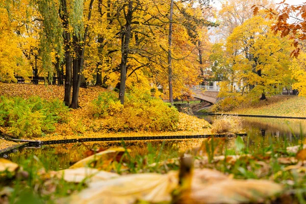 Kanal suyuna, köprüye ve altın sarısı akçaağaç ağaçlarına ve sonbahar günü Bastion Hill Park, Riga, Letonya 'daki kanal suyundaki renkli yansımalarına alçak açılı çekim.