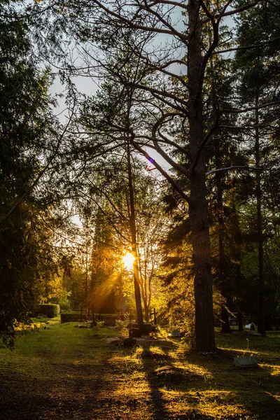 Krdla, Hiiumaa, Estonya 'daki çam ağaçlarıyla çevrili Avrupa kırsal mezarlığında güneşin batışının dikey fotoğrafı. Mezarlıkta metal haçlar ve mezarlar Güneş alçak ve turuncu olduğunda