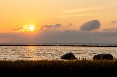 Kayalık denizin üzerinde gün batımı. Yaz akşamı Estonya, Rohukla Limanı 'nda sazlıklar, dalgalar ve altın gün batımıyla birlikte.