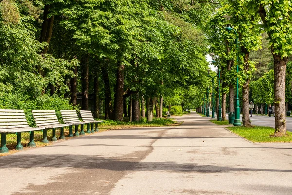 Yazın Riga (Meaparks), Forest Park 'ta yürüyüş yolu. Yüksek yeşil ağaçlar, romantik sokak lambaları, banklar ve çimlerle kaplı parktaki dar sokağın alçak açılı fotoğrafı..
