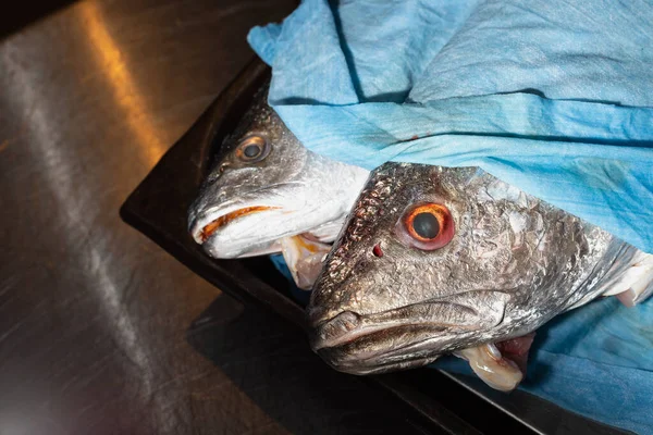 Duas cabeças de peixe fresco cobertas com uma toalha azul para manter a humidade Imagem De Stock
