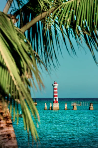 Lighthouse, palm trees and turquoise water from the beach in Maceio, Brazil
