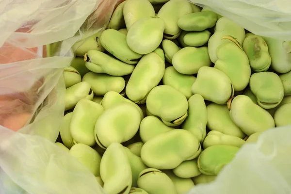 智利阿塔卡马沙漠的利马豆种植 — 图库照片