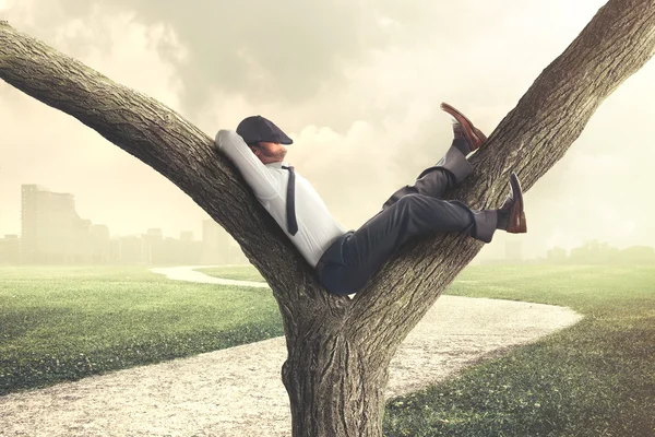 Uomo d'affari pigro che si gode la pausa su un albero — Foto Stock