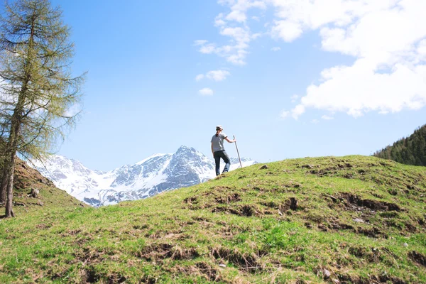 Escursionista a piedi in montagna — Foto Stock