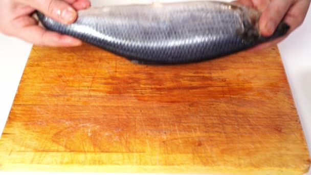 Salted herring is placed on a cutting Board to clean the skin and entrails — Stock Footage Salted herring is placed on a cutting Board to clean the skin and entrails Stock Video